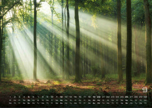 Wald - Erholung für Mensch und Tier - 2027 - Kalender
