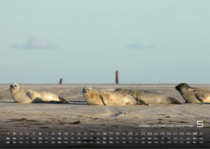 Nordsee – Küstenzauber - 2027 - Kalender