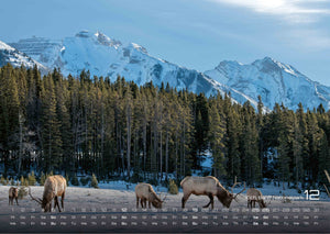 Kanada – Abenteuer Natur - 2027 - Kalender