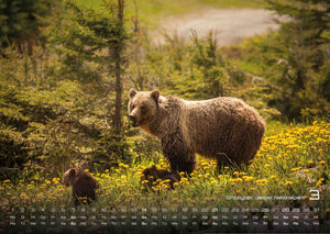 Kanada – Abenteuer Natur - 2027 - Kalender