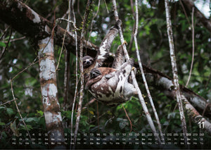 Faultiere – Chill mal! - 2027 - Kalender
