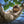 Faultiere – Chill mal! - 2027 - Kalender