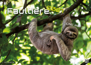 Faultiere – Chill mal! - 2027 - Kalender