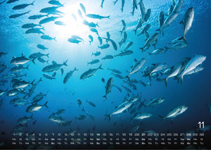 Meer – Im Rhythmus der Gezeiten! - 2027 - Kalender