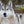 Wolf – Im Schatten des Waldes - 2027 - Kalender