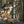 Wolf – Im Schatten des Waldes - 2027 - Kalender