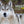 Wolf – Im Schatten des Waldes - 2027 - Kalender