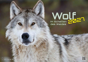 Wolf – Im Schatten des Waldes - 2027 - Kalender