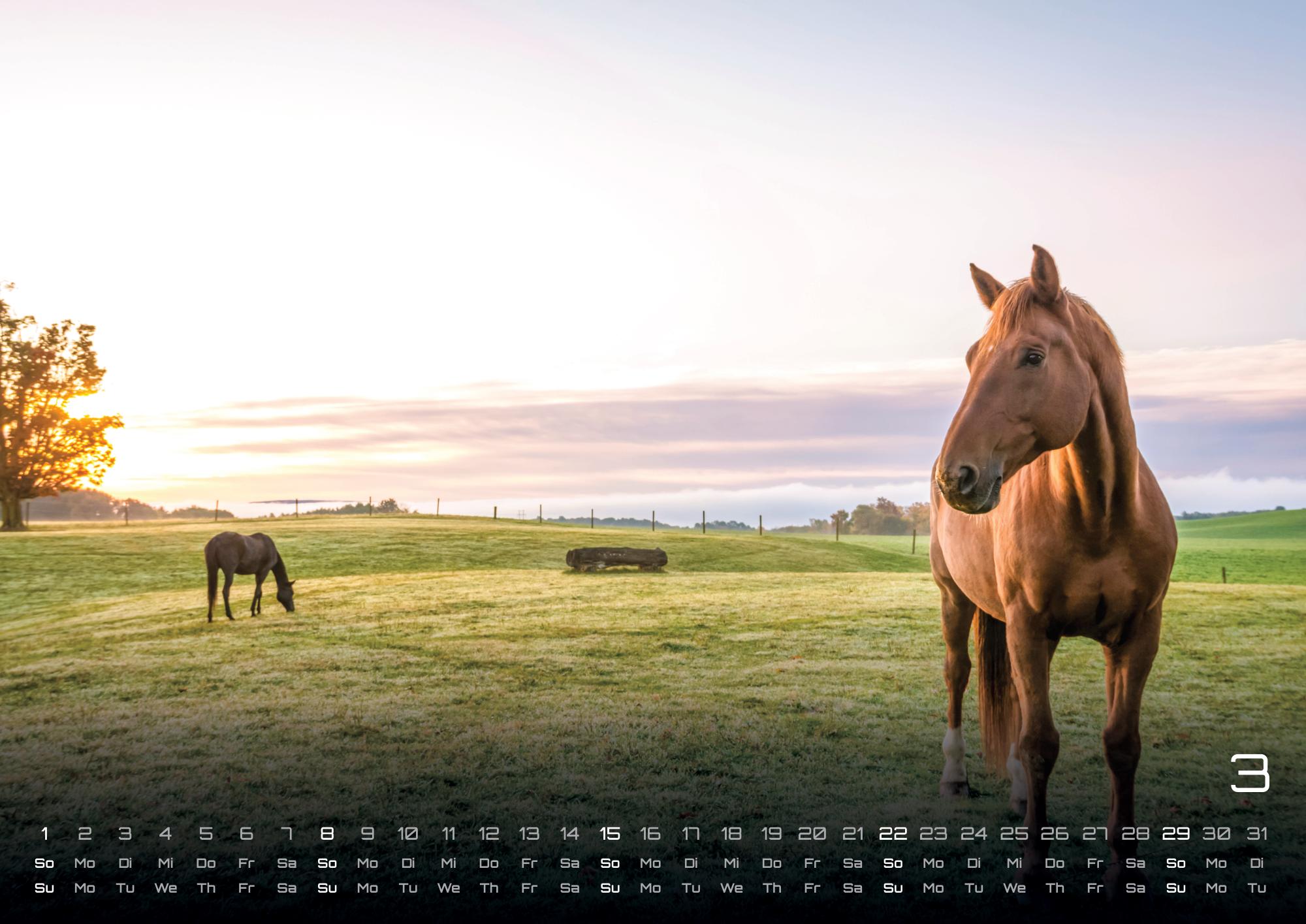 GPF-HORSE26_page_4