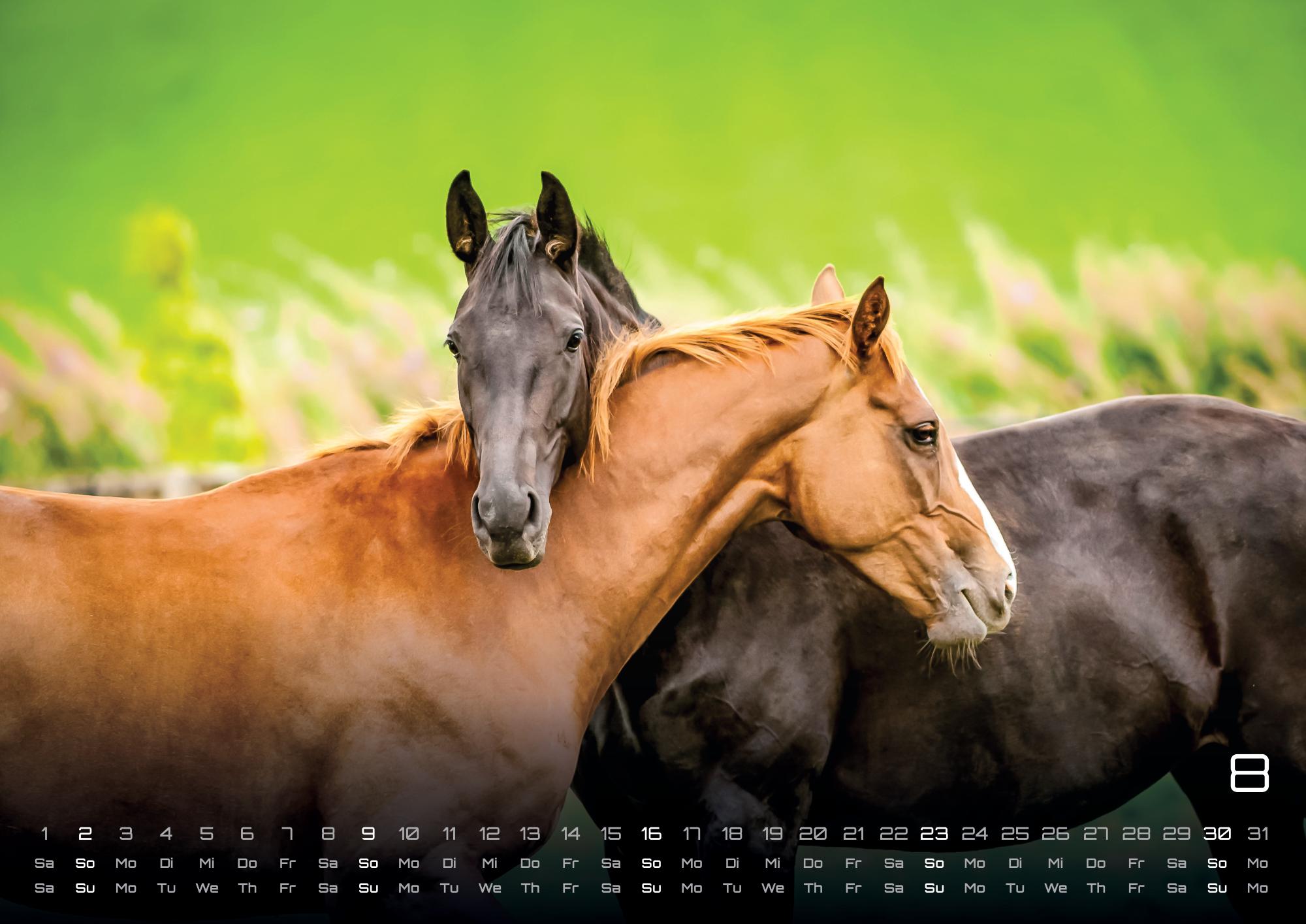 GPF-HORSE26_page_9