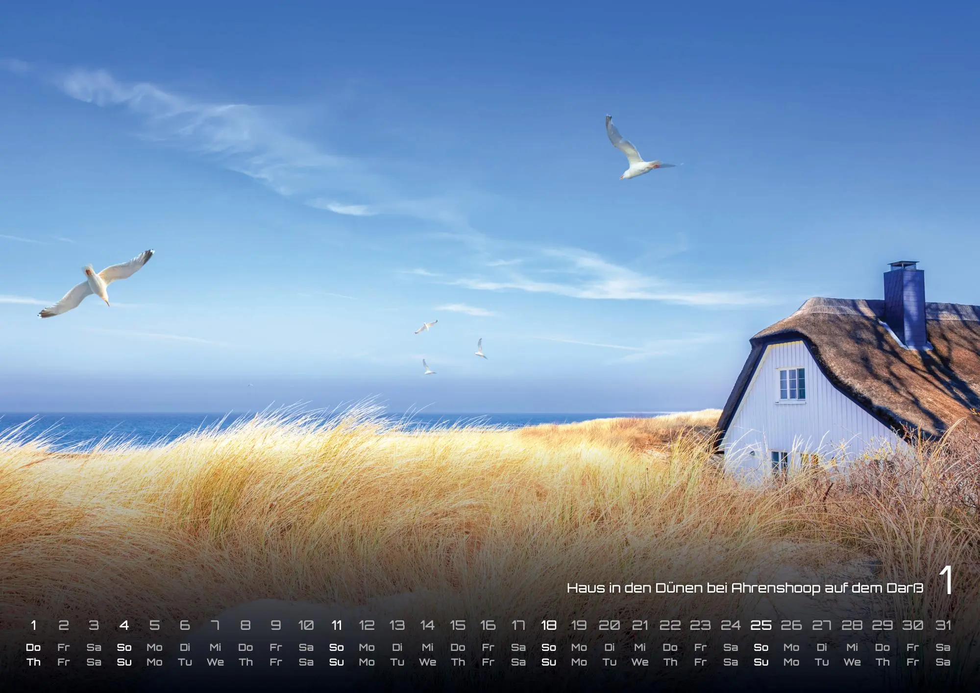 Ostsee - Zwischen Dünen und Horizont – Die Ostsee erleben - 2026 - Kalender DIN A2 (extragroß: ca. 60 cm x 42 cm)