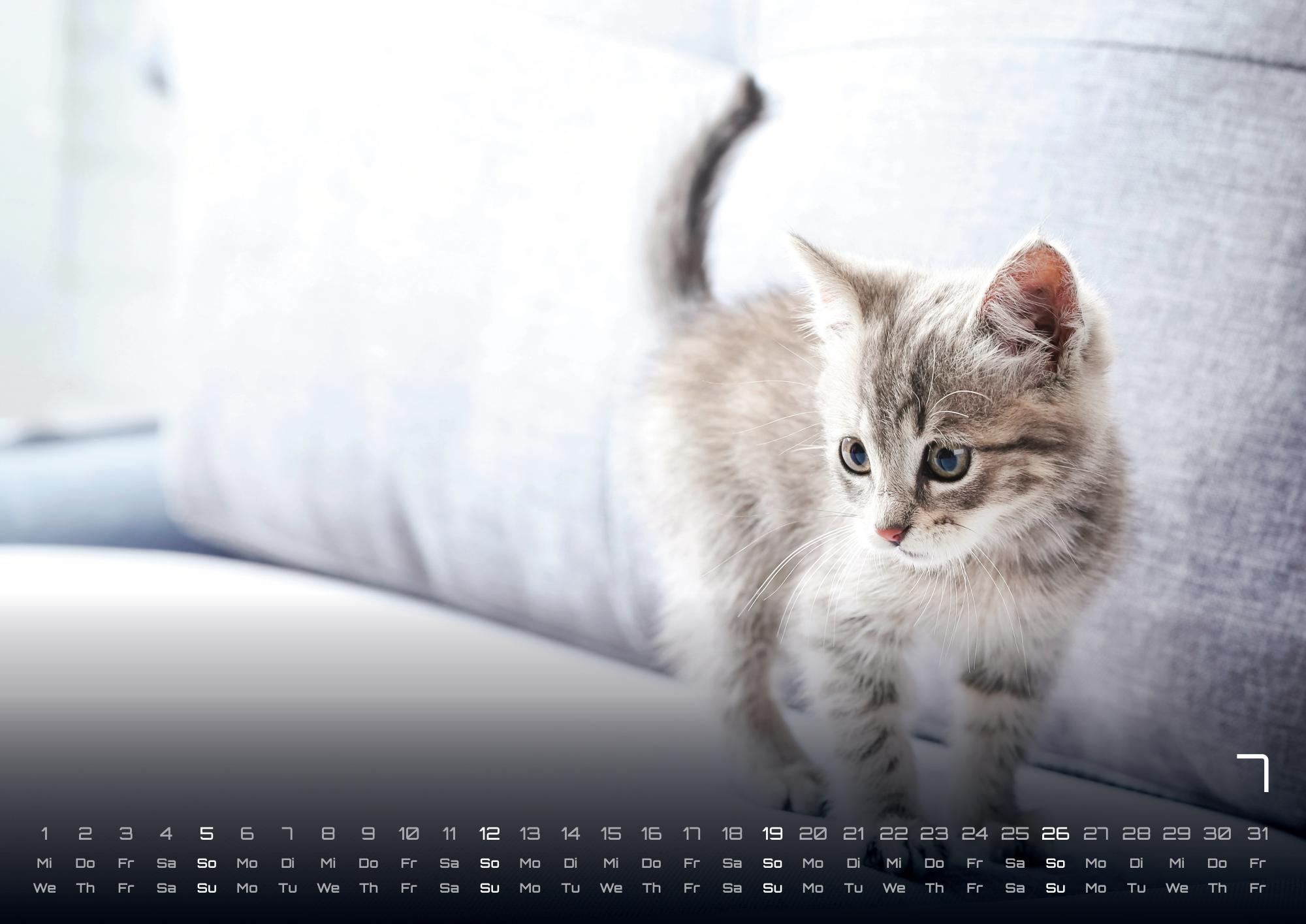GPF-CATKID26_page_8