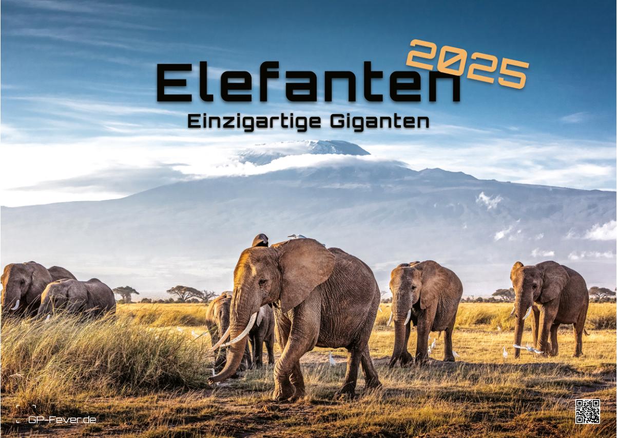Elefanten - einzigartige Giganten - 2025 - Kalender