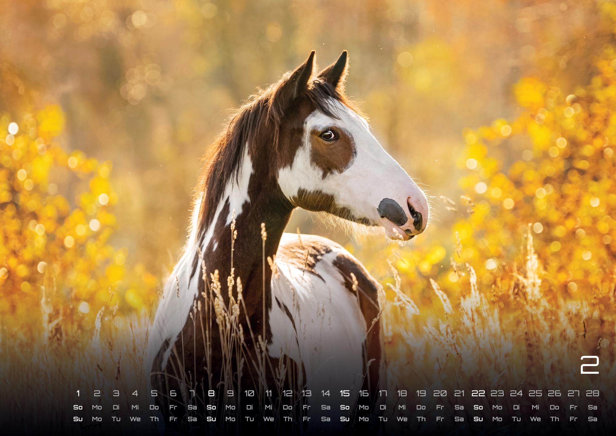 GPF-HORSE26_page_3