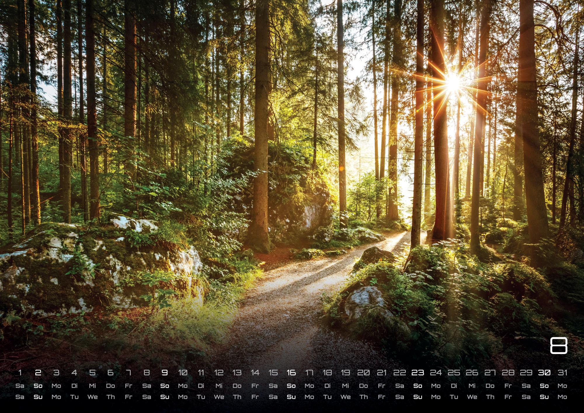 GPF-WALD26_page_9