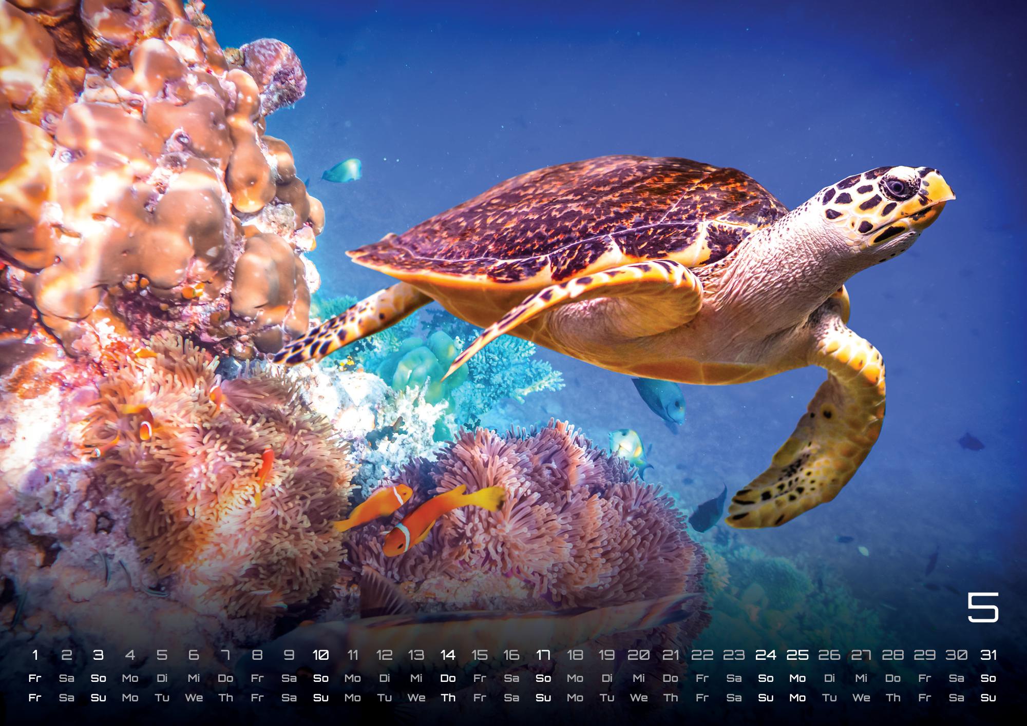 GPF-SEALIFE26_page_6