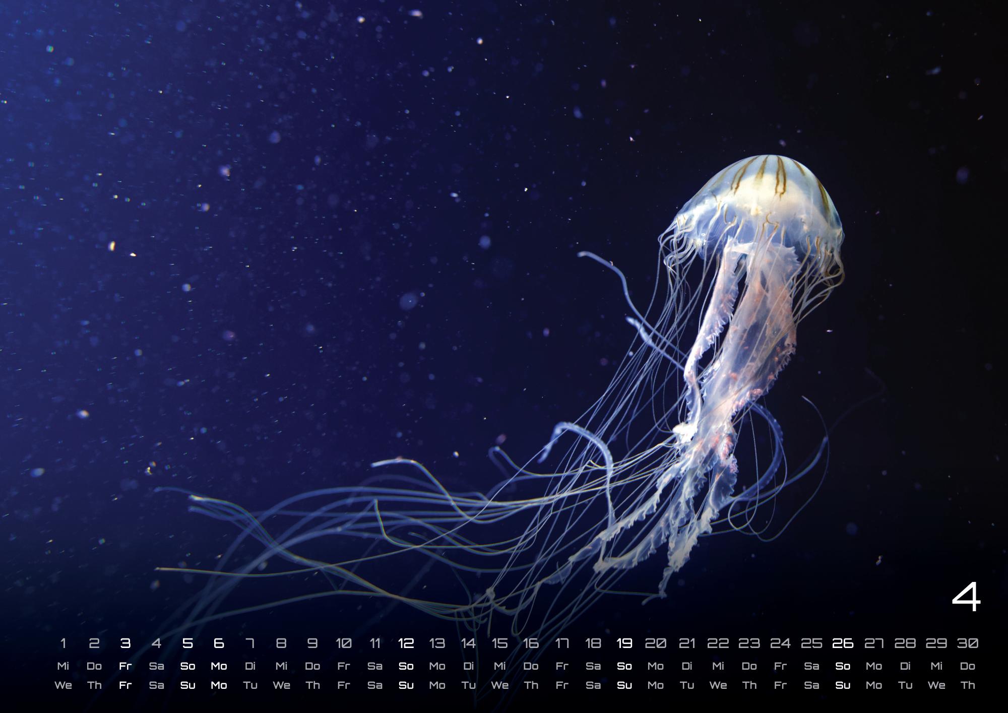 GPF-SEALIFE26_page_5