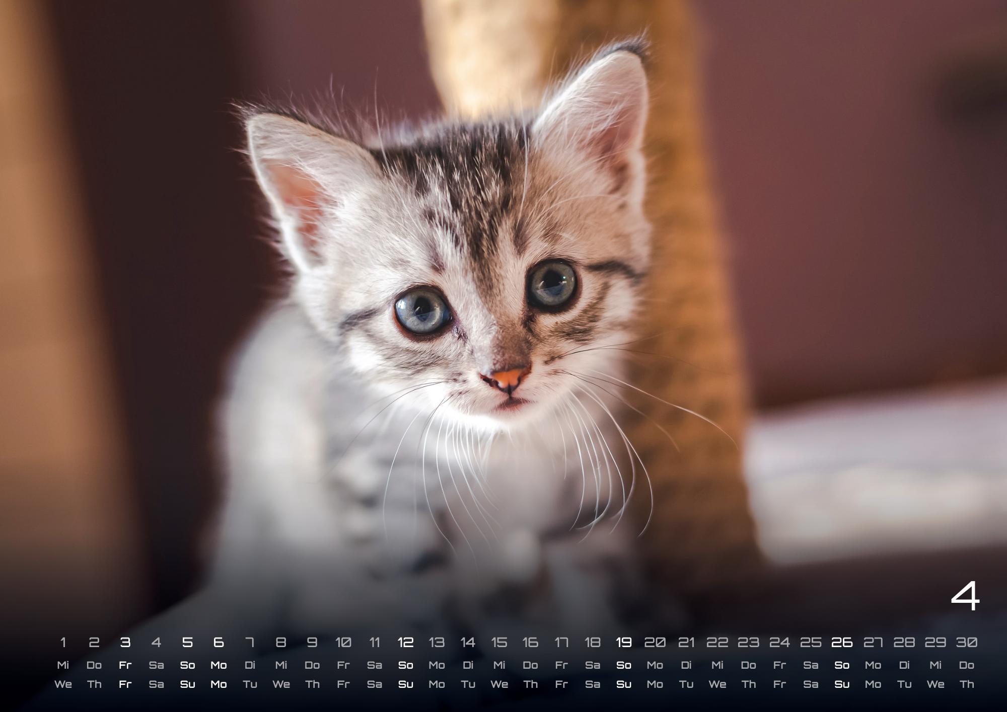 GPF-CATKID26_page_5