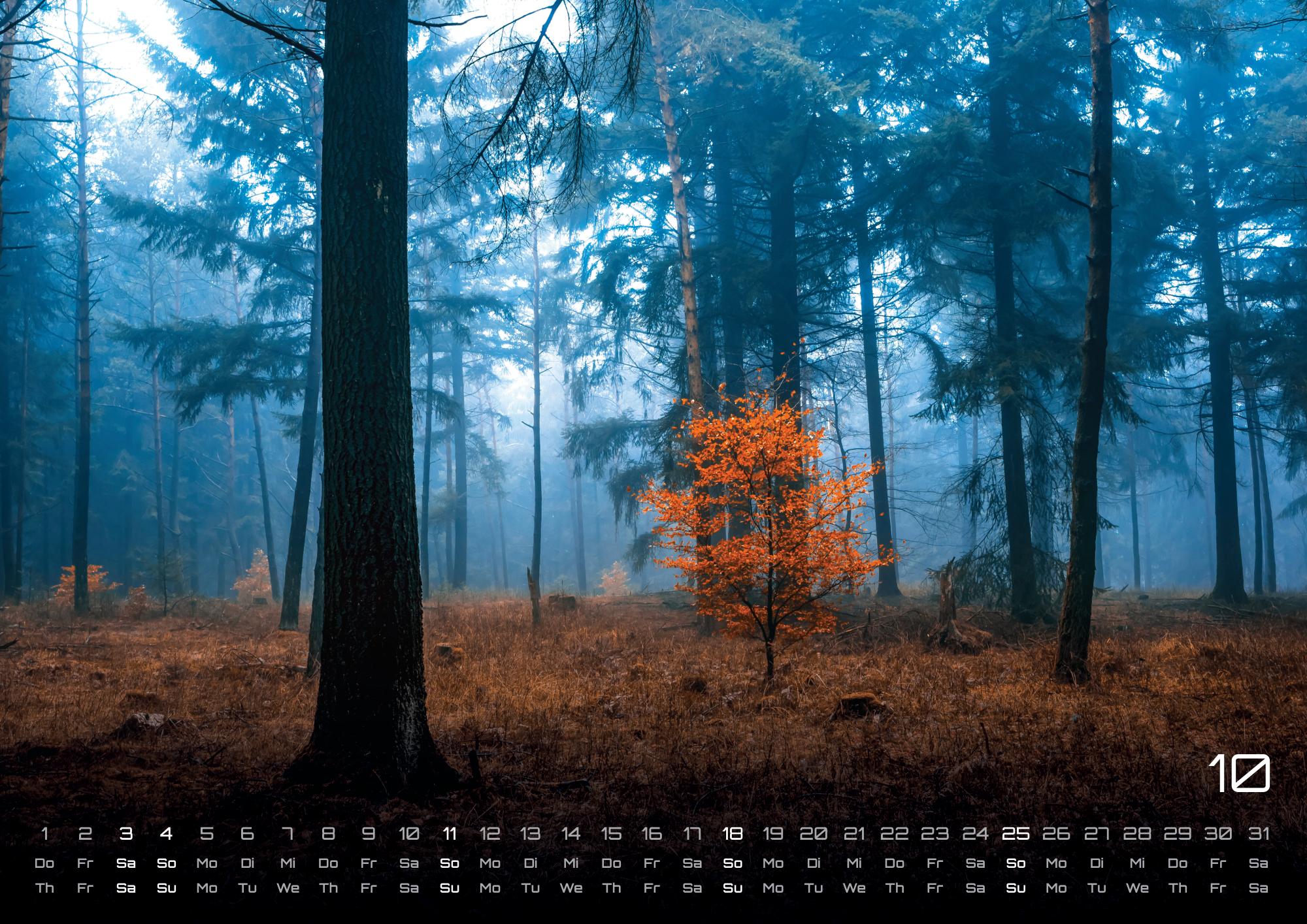 GPF-WALD26_page_11