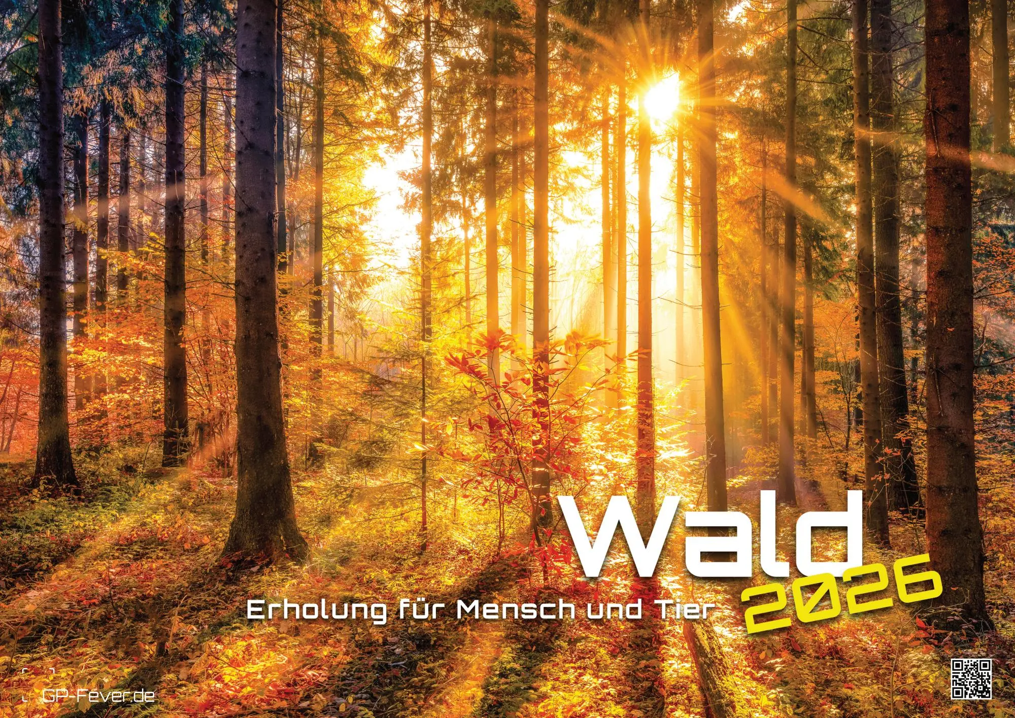 Wald - Erholung für Mensch und Tier - 2026 - Kalender