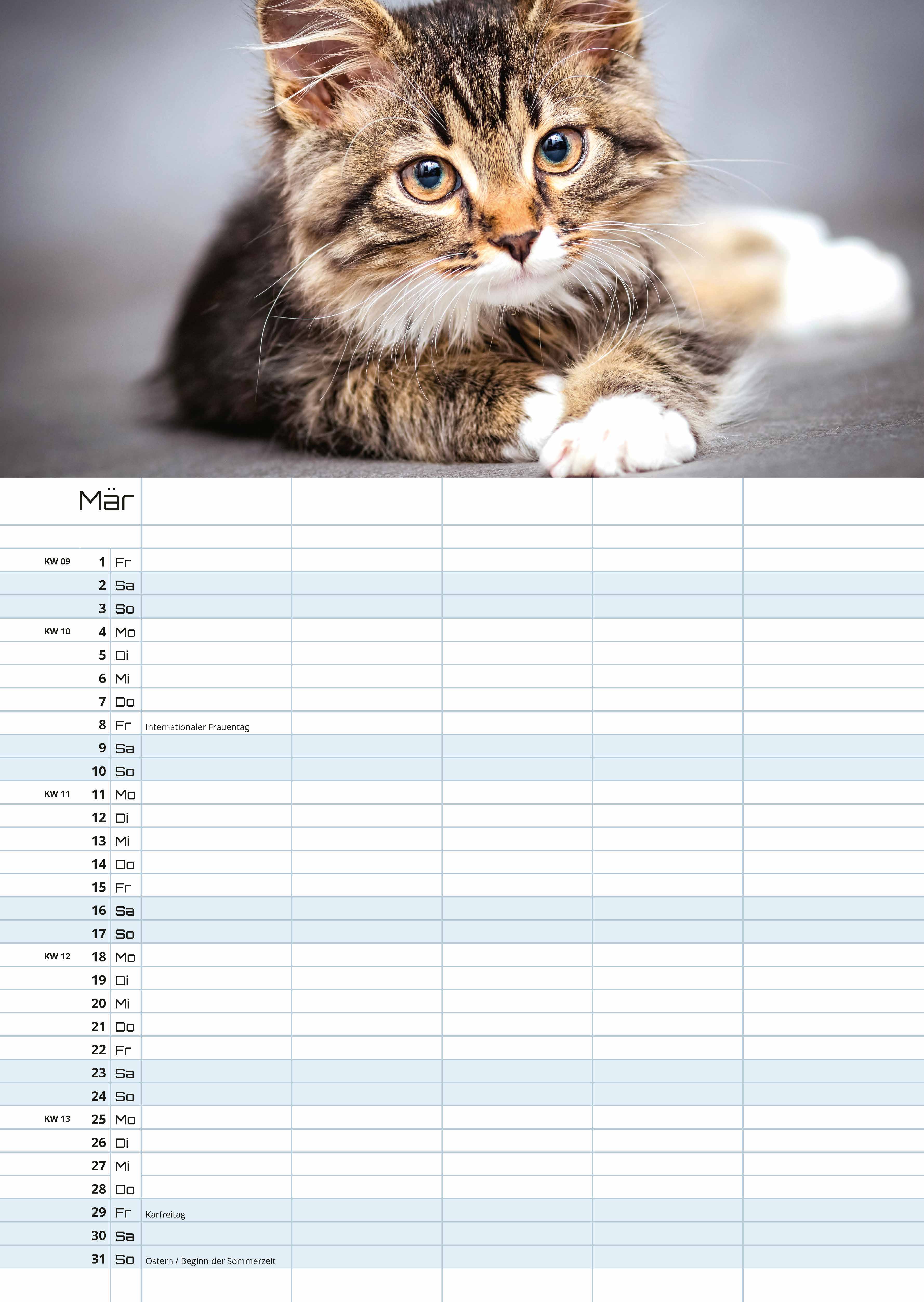 Miau - Unsere Stubentiger - Der Katzenkalender - 2024 - Kalender