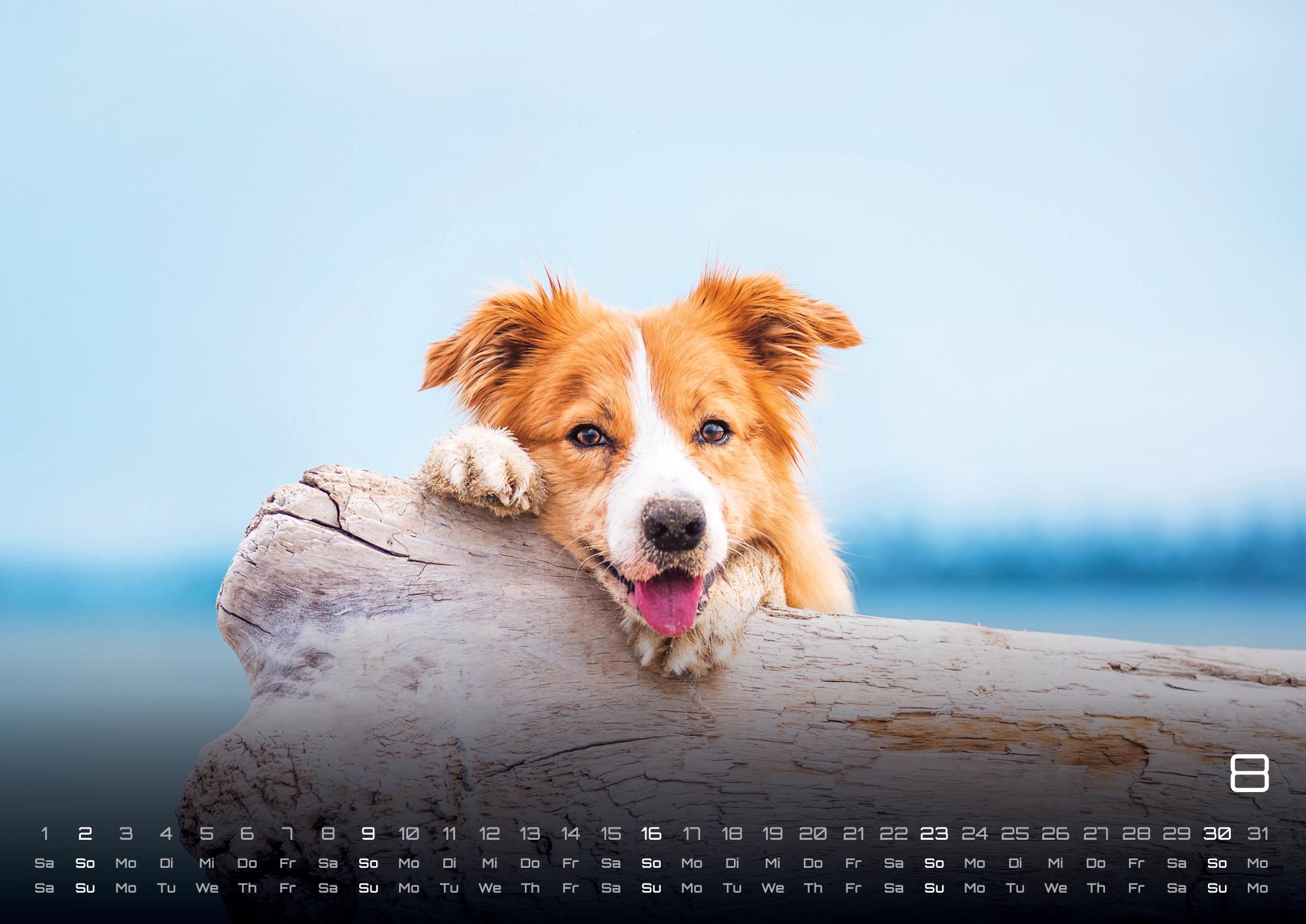 GPF-DOG26_page_9