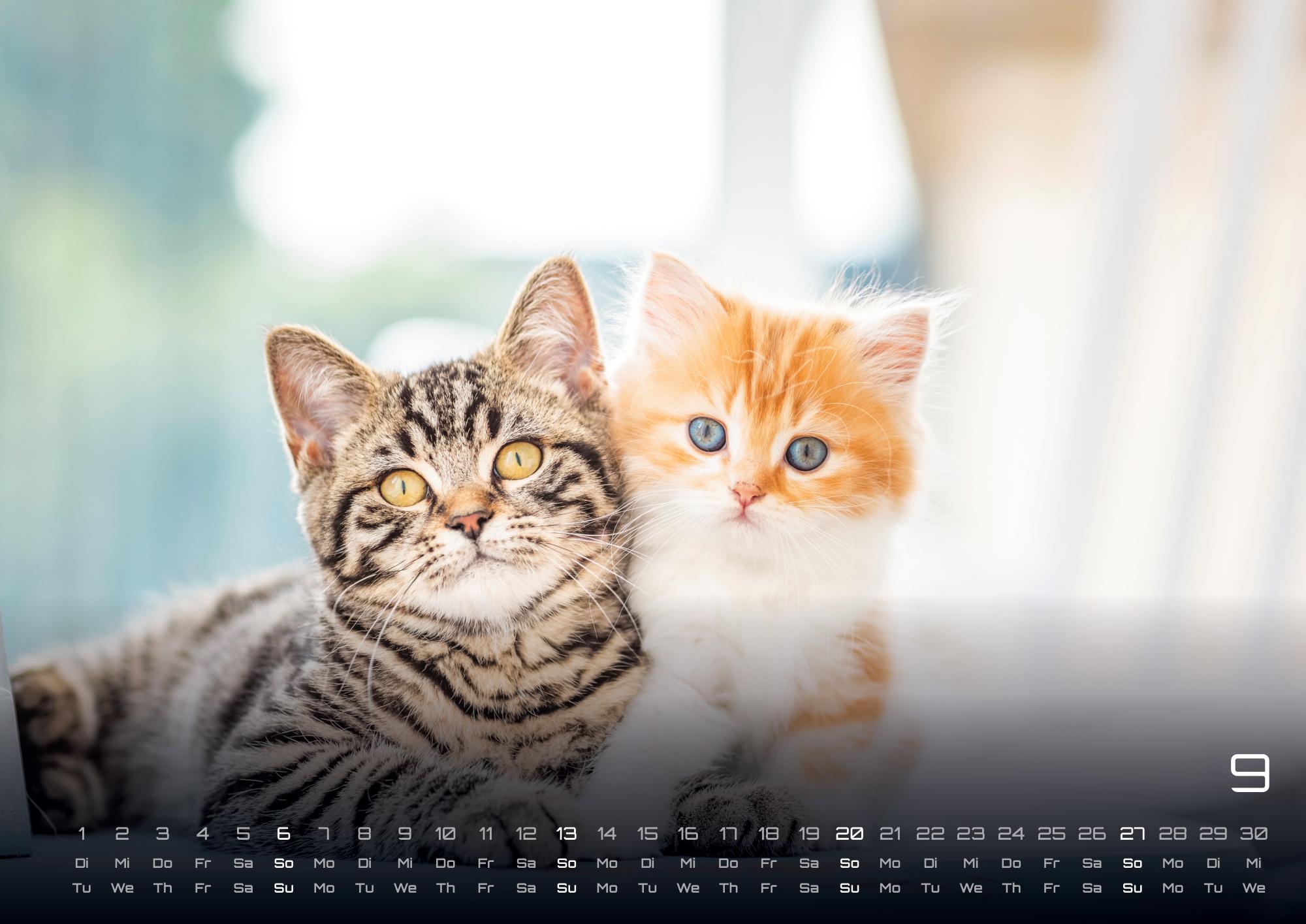 GPF-CATKID26_page_10