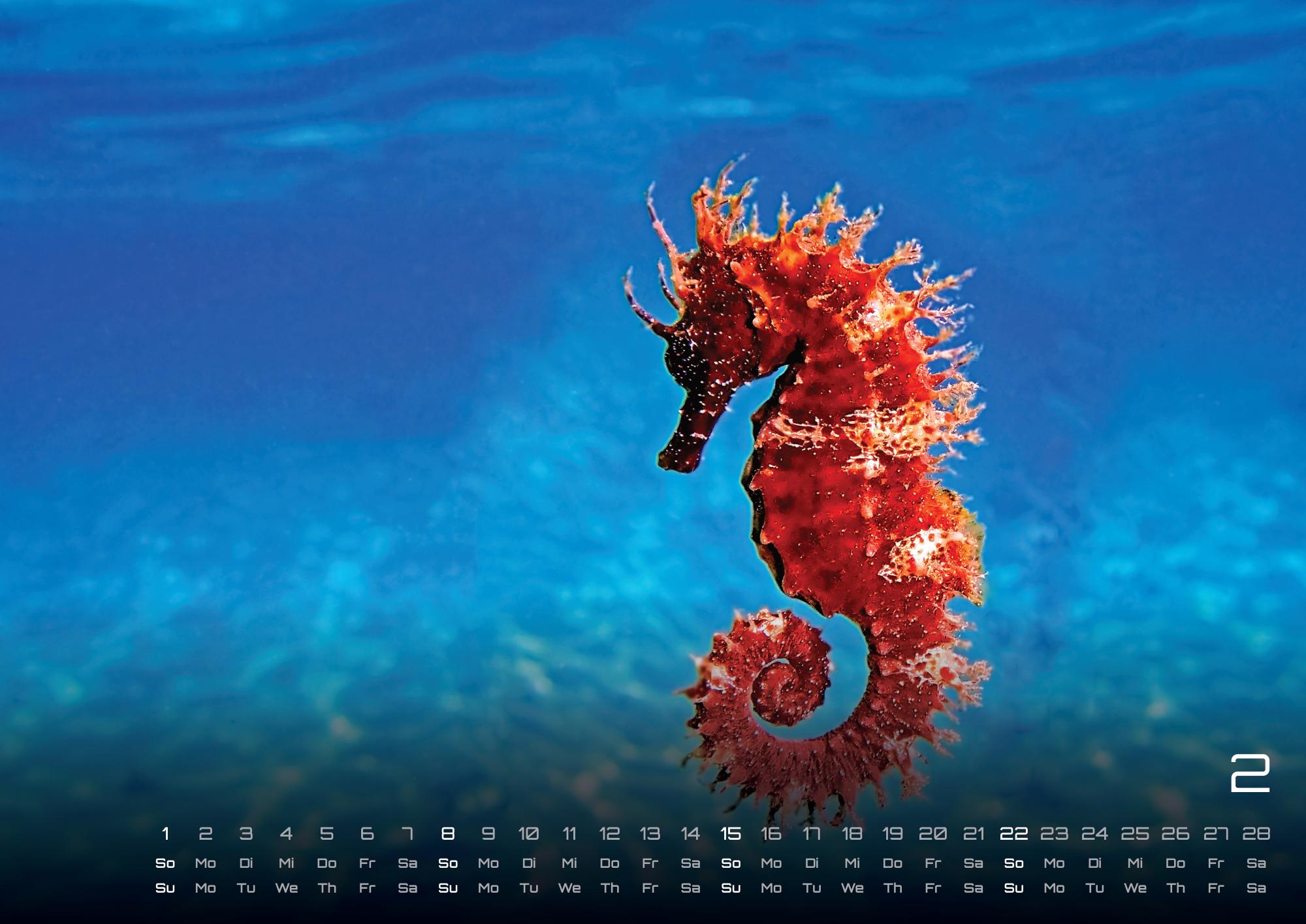 GPF-SEALIFE26_page_3