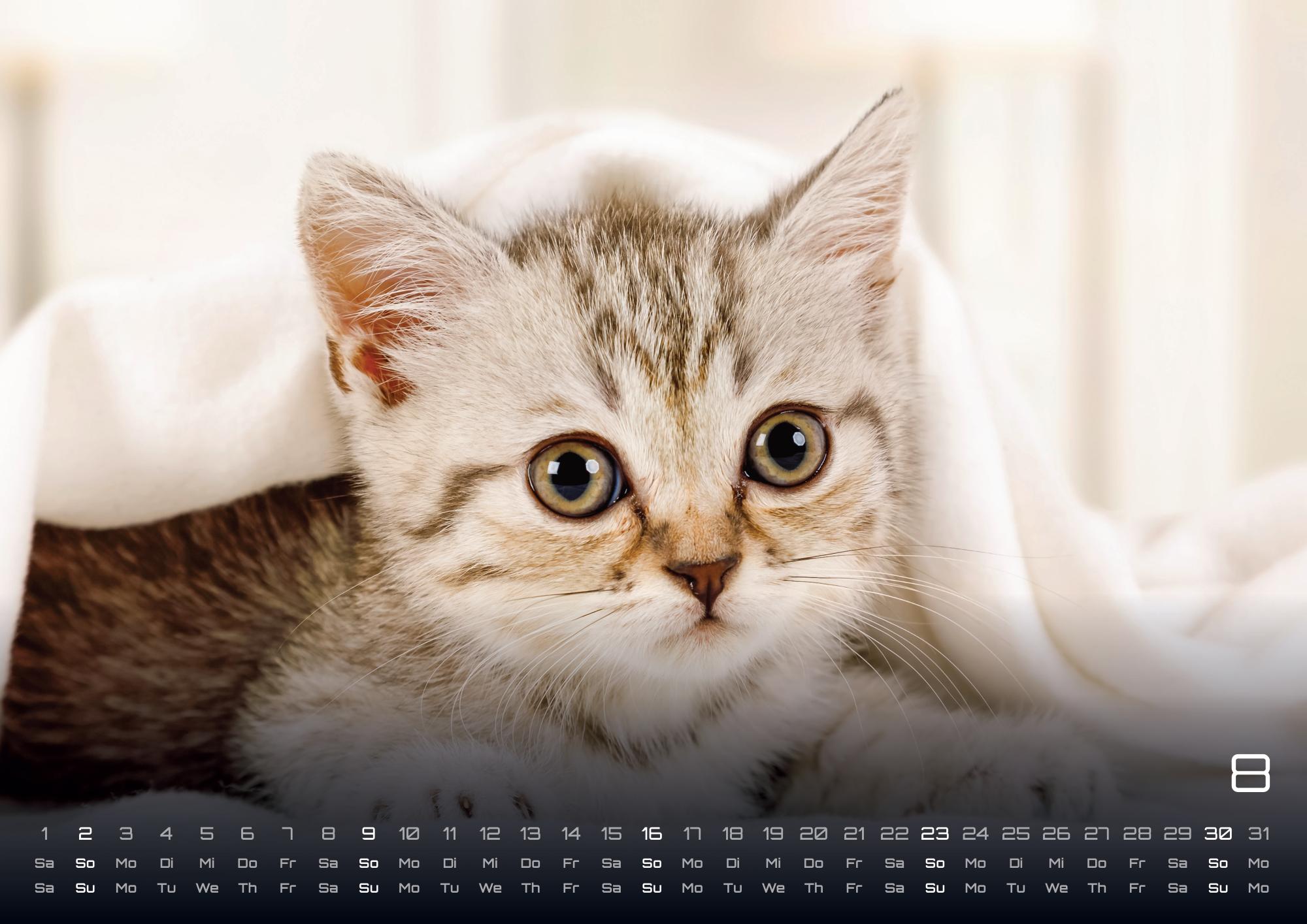 GPF-CATKID26_page_9