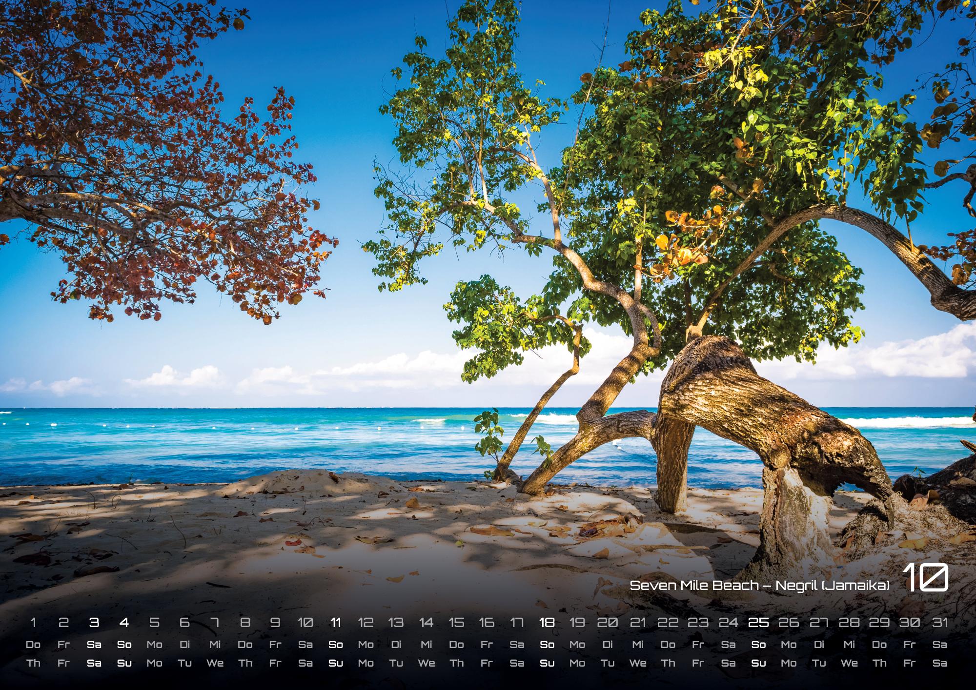 GPF-INSEL26_page_11