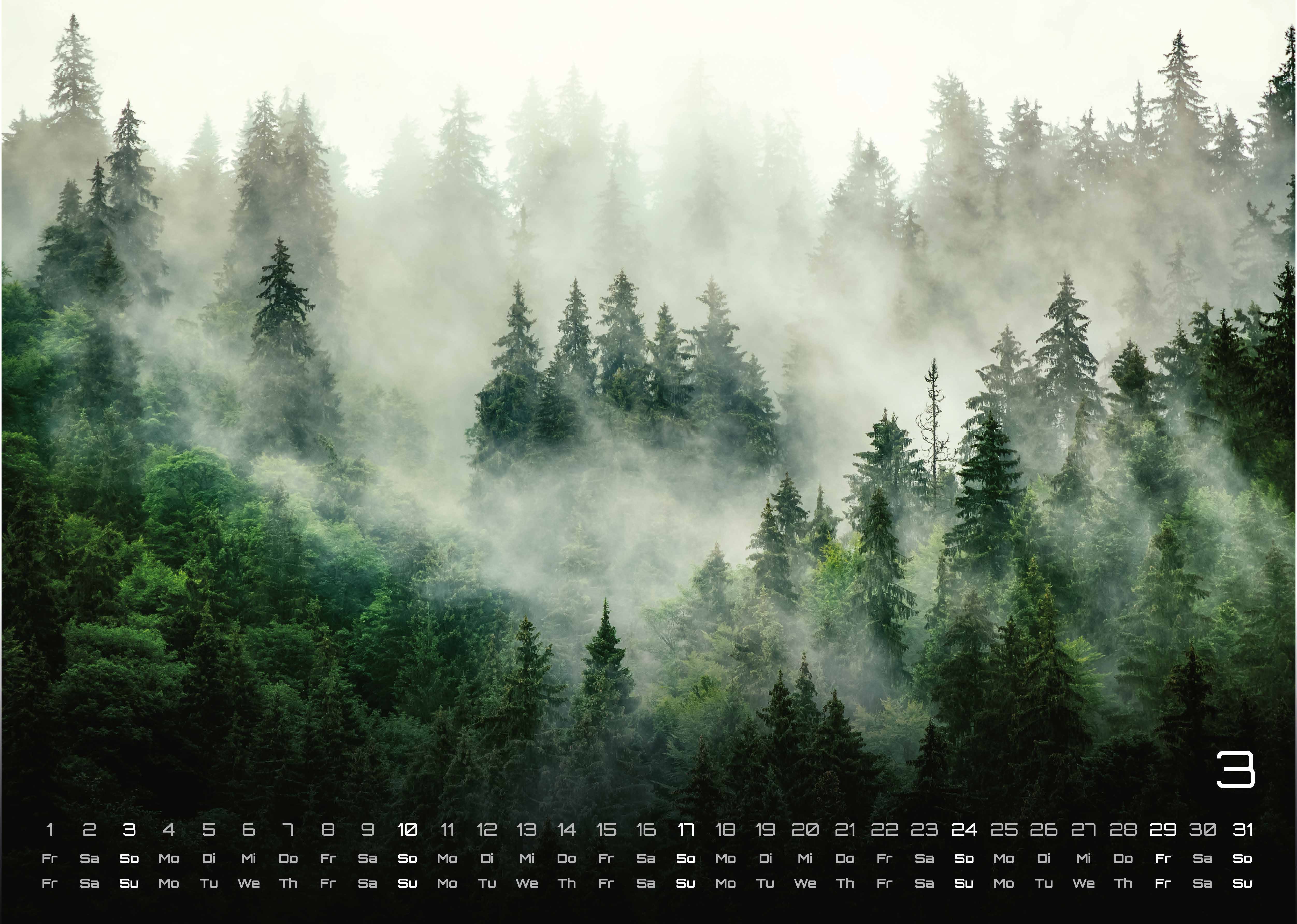 Wald - Erholung für Mensch und Tier - 2024 - Kalender