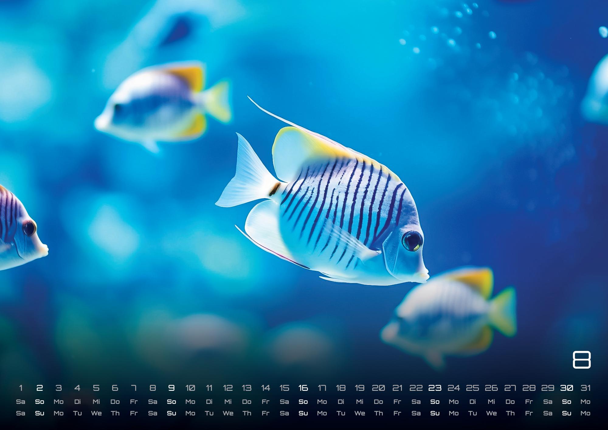 GPF-SEALIFE26_page_9