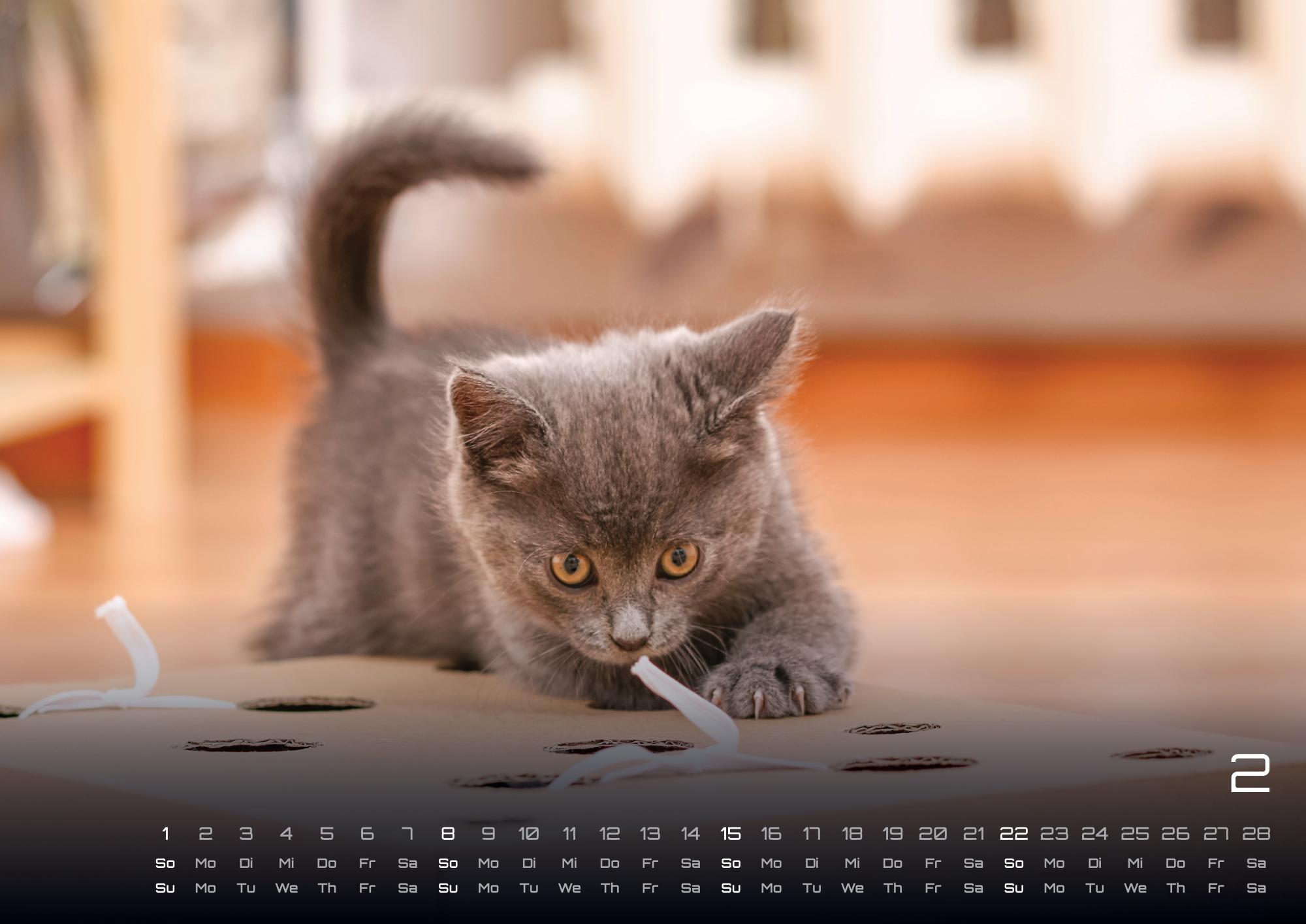 GPF-CATKID26_page_3