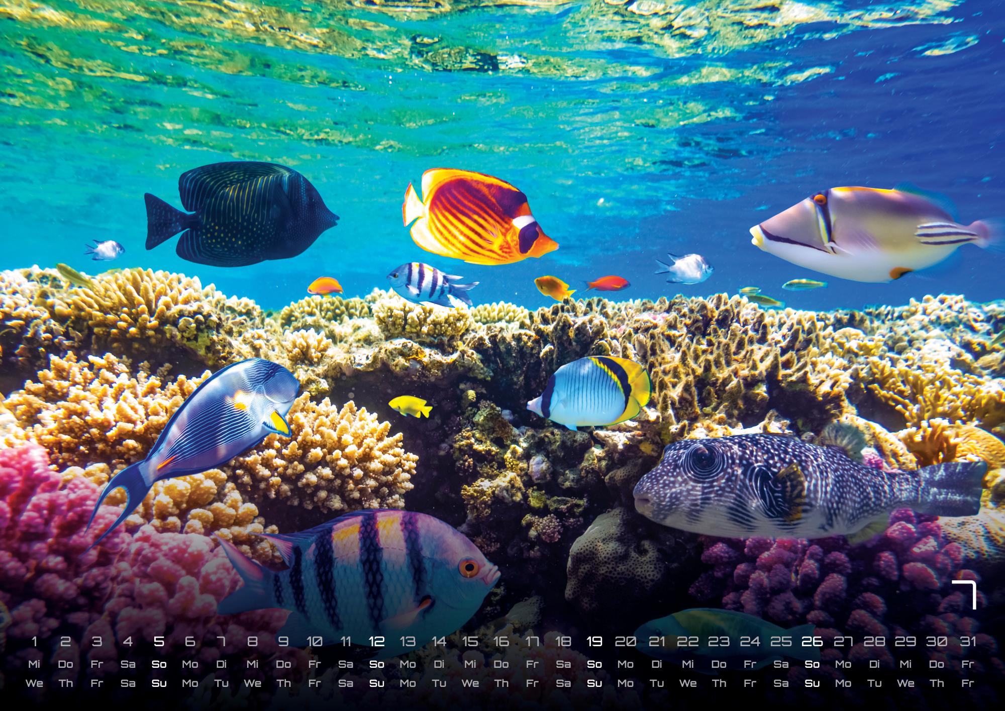 GPF-SEALIFE26_page_8