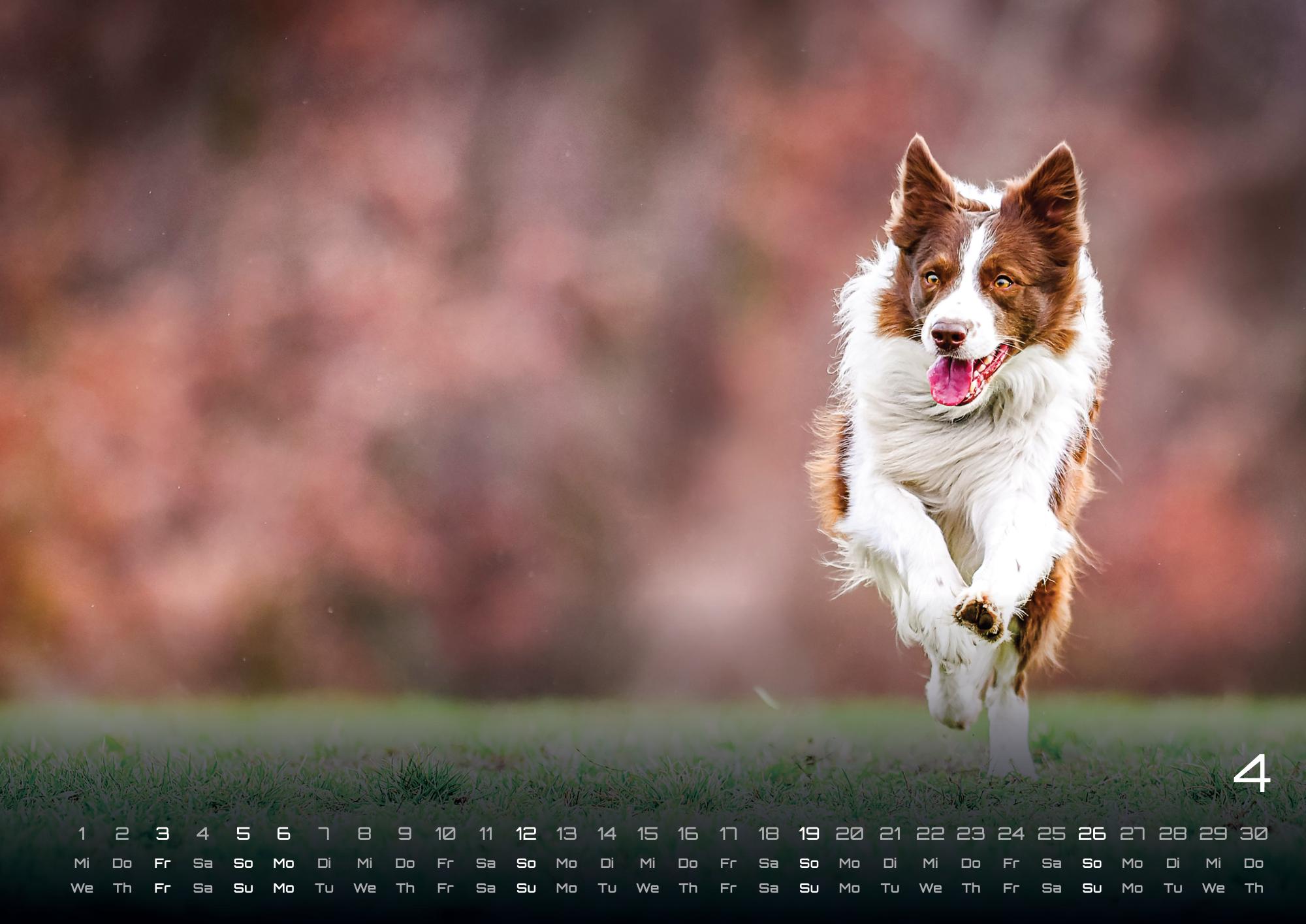 GPF-DOG26_page_5