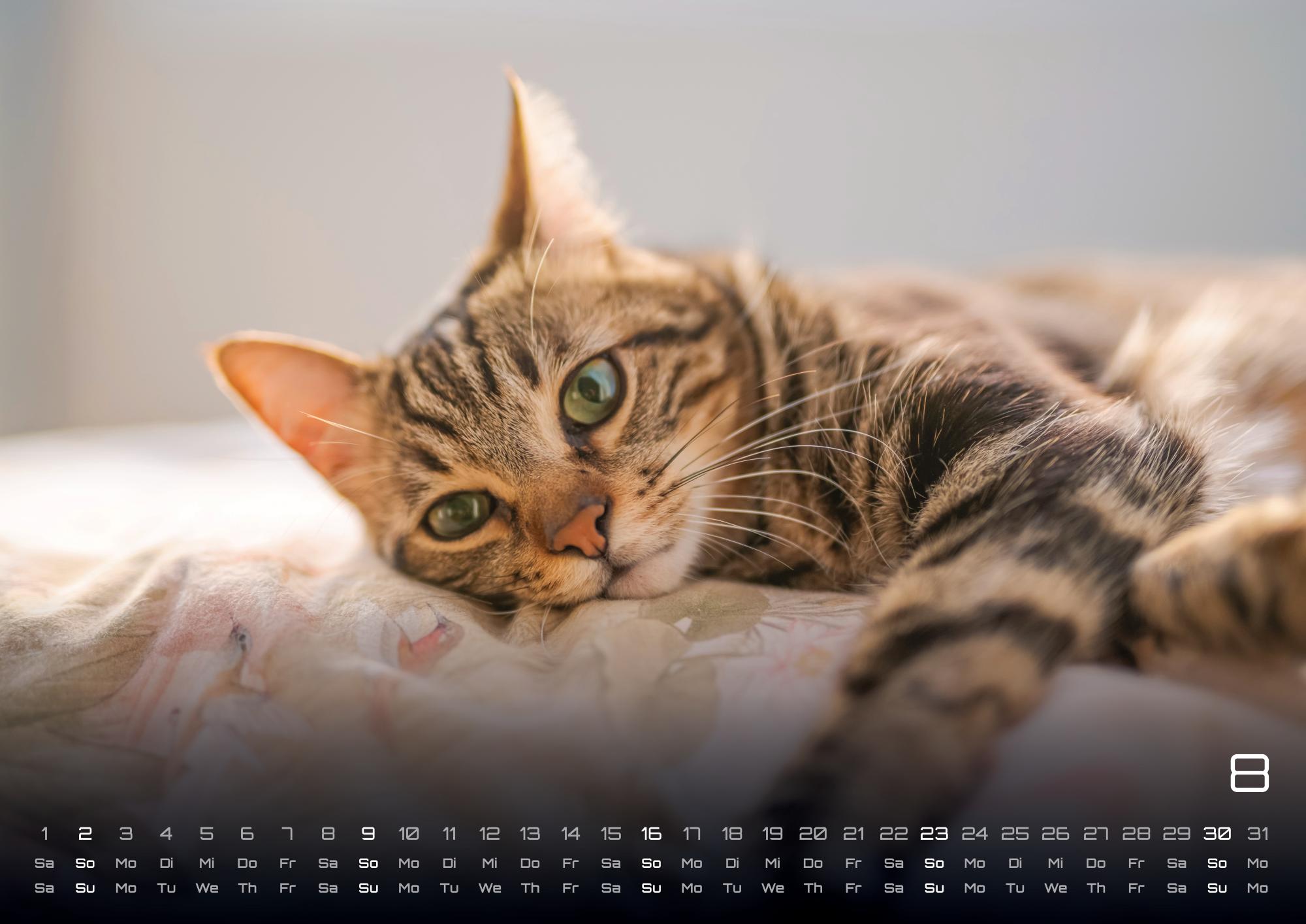 GPF-CAT26_page_9