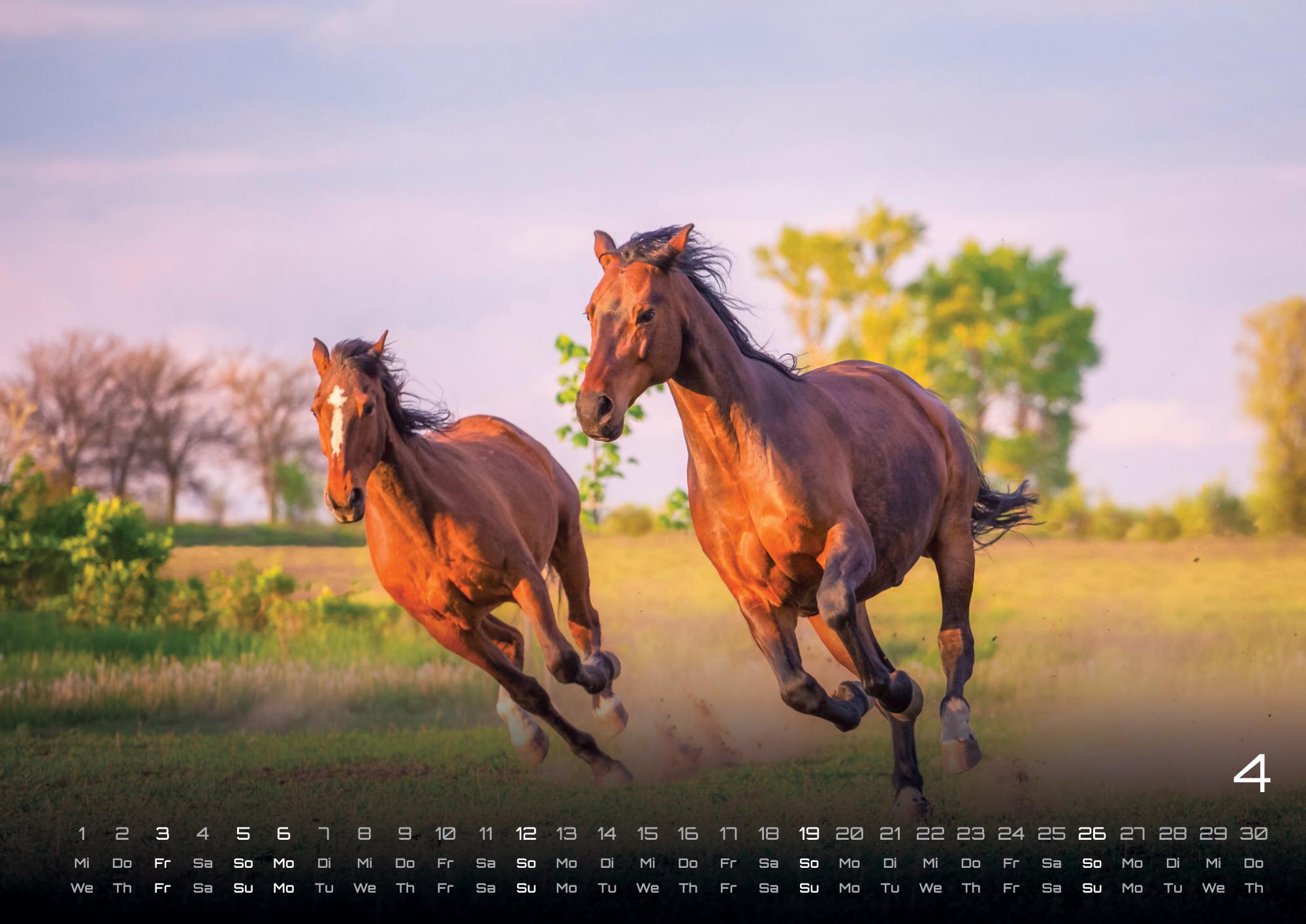 GPF-HORSE26_page_5