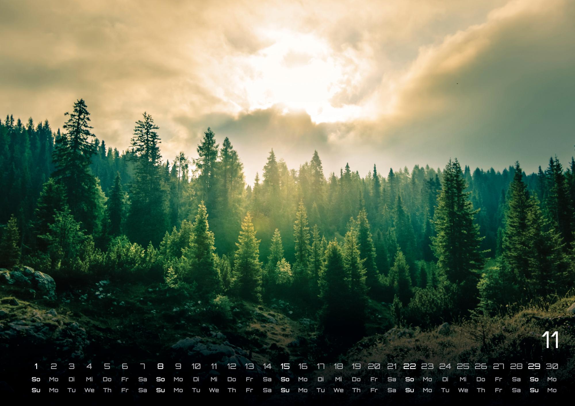 GPF-WALD26_page_12