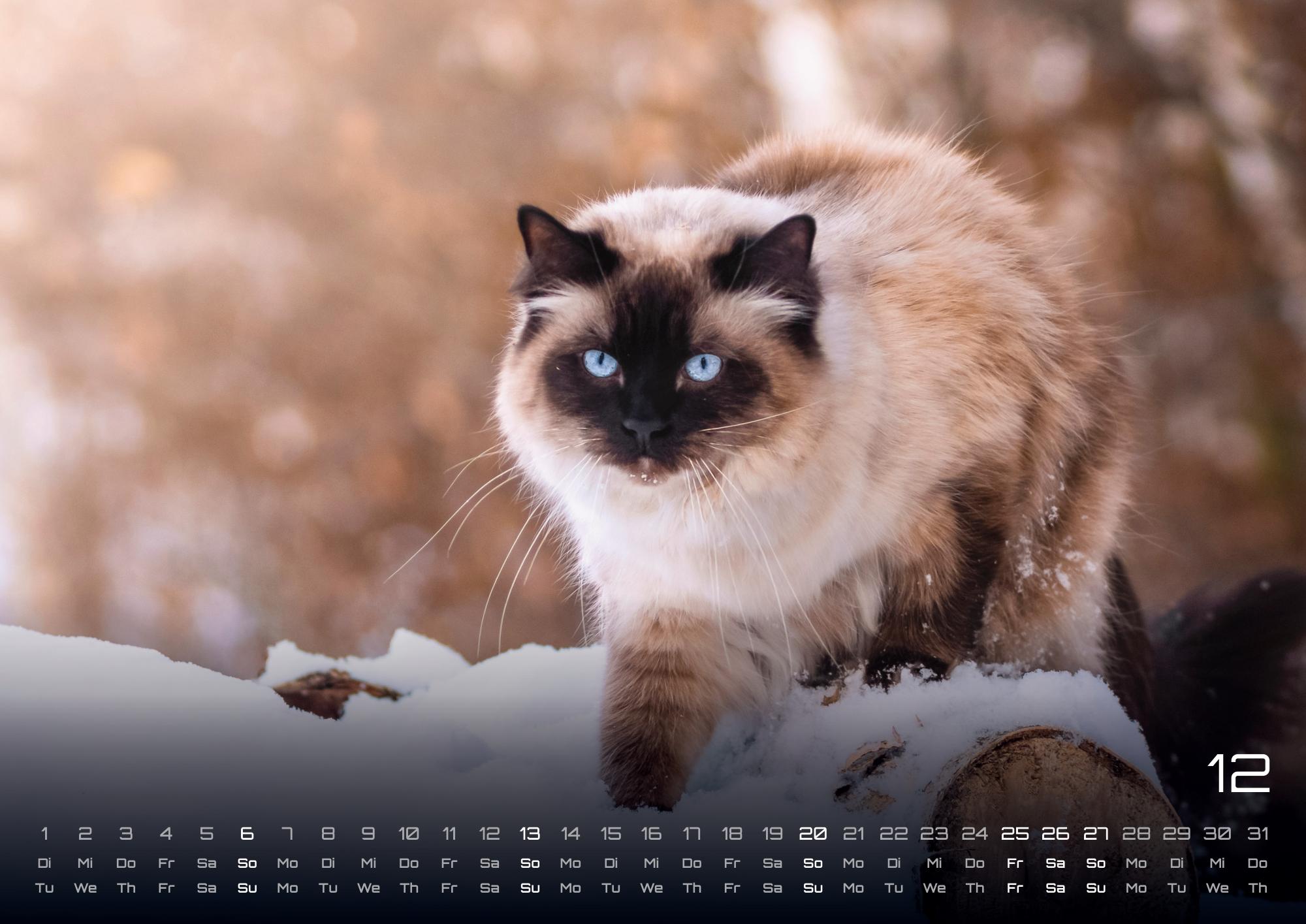 GPF-CAT26_page_13